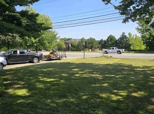 Lisa P.'s Yard Cutting service result