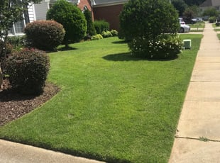 Tracy T.'s Yard Cutting service result