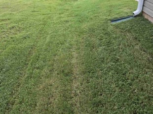 Adrien T.'s Lawn Maintenance service result