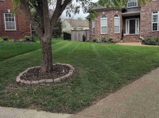 Joseph D.'s Lawn Care service result