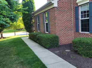 Mary C.'s Lawn Care service result