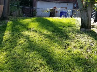 Cleanups by Arnulfo Zuniga for Regina F. in University City, MO