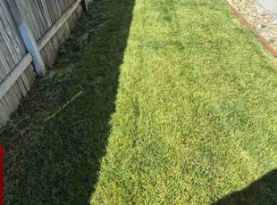 Tracey M.'s Lawn Mowing service result