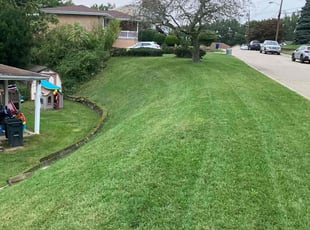 Zee K.'s Lawn Care service result