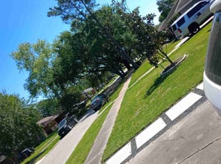 Tammy R.'s Lawn Care service result