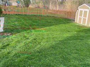 Justin C.'s Lawn Care service result