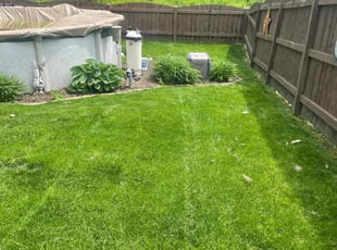 Emily H.'s Yard Cutting service result