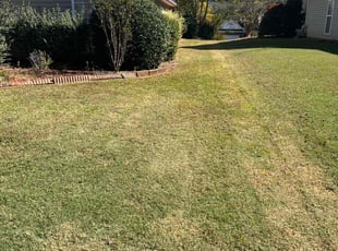 Heather S.'s Lawn Mowing service result