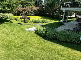 Latoya M.'s Lawn Maintenance service result