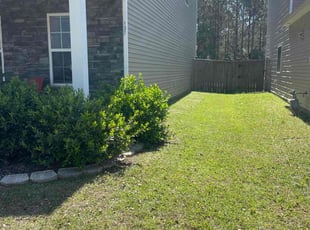 Nikolette B.'s Lawn Mowing Service service result