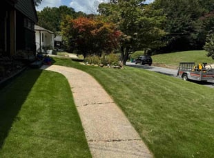 Daniel P.'s Grass Cutting service result