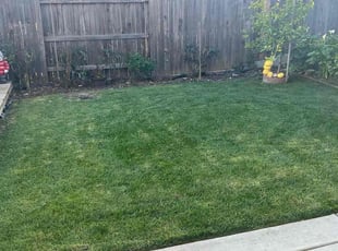 Ashton P.'s Grass Cutting service result