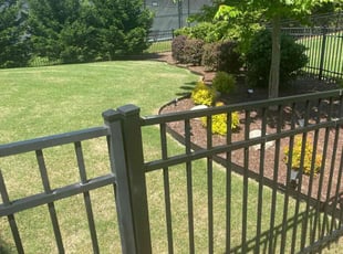 Bryant V.'s Grass Cutting service result