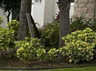 Weeding by Lovell Smith for Keima C. in Kissimmee, FL