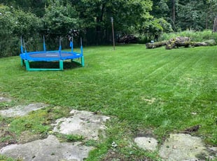 Christopher K.'s Lawn Mowing service result