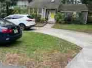 Leaf Removal by Susan Perez for Olga Z. in Lakeland, FL
