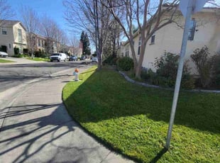 James P.'s Lawn Care service result