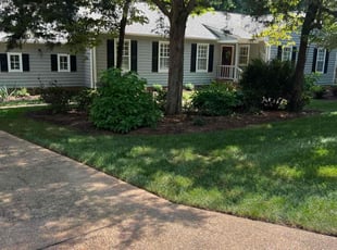 Harry R.'s Lawn Mowing service result