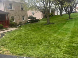 Winter W.'s Lawn Mowing service result