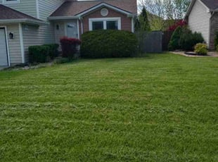 Josh F.'s Lawn Mowing service result