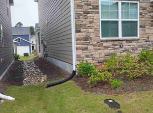 Weeding by Michelle Swift for Alyssa K. in Wake Forest, NC
