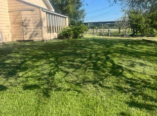 John S.'s Lawn Mowing service result