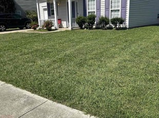 Susan B.'s Lawn Mowing service result