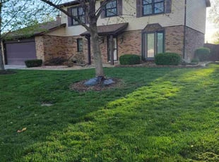 Lawrence S.'s Lawn Mowing service result