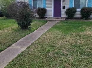 Leaf Removal by Mike Williams for Stephanie B. in Richmond, VA