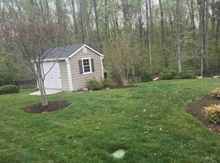 Elizabeth B.'s Lawn Care service result