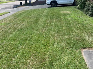Michael M.'s Lawn Mowing Service service result