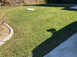 LaShunda W.'s Lawn Mowing service result