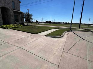 Tony B.'s Lawn Mowing service result