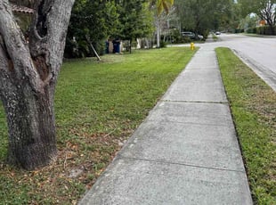 Carrie W.'s Lawn Service service result