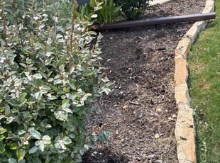 Weeding by Brandon Daly for Angela W. in Mansfield, TX
