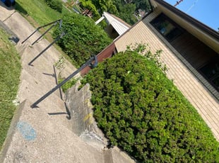 Bush Trimming by Jennifer Frain for Amin J. in Pittsburgh, PA