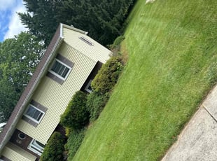 Cindy M.'s Lawn Maintenance service result