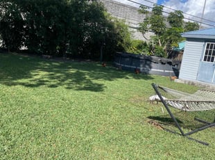 Bernard R.'s Lawn Mowing service result