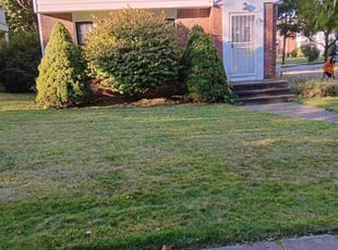 Mike A.'s Lawn Mowing Service service result