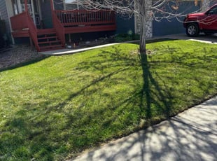 Leonard K.'s Lawn Mowing service result