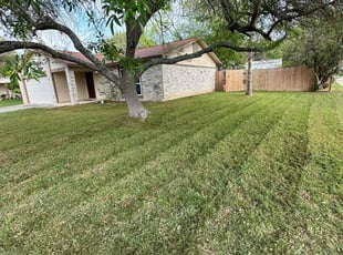 Todd, W.'s Lawn Mowing service result