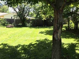 Marti D.'s Lawn Mowing service result
