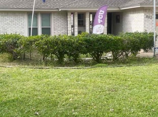 Bush Trimming by Gustavo Duran for Phillip H. in Arlington, TX