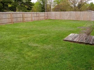 Sara A.'s Lawn Maintenance service result