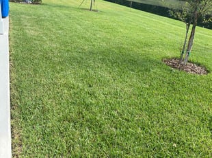 Eugene C.'s Lawn Service service result