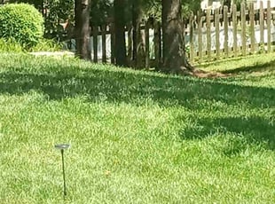Jennifer B.'s Lawn Service service result