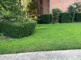 Kenneth B.'s Lawn Care service result