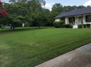 May K.'s Lawn Care service result