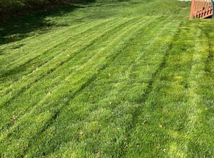 Deborah C.'s Lawn Service service result