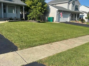 Brandall L.'s Lawn Mowing Service service result